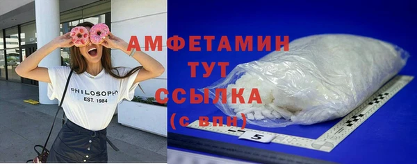 стаф Кодинск
