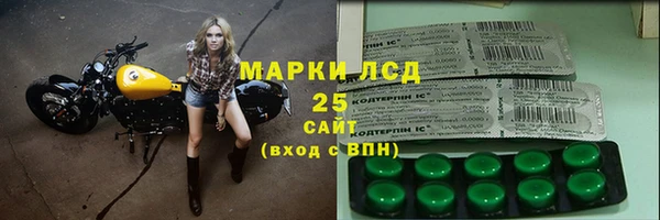 стаф Кодинск
