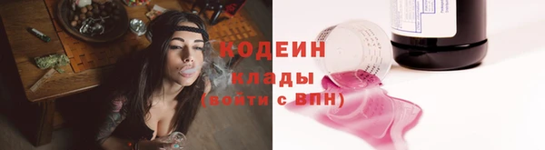 стаф Кодинск