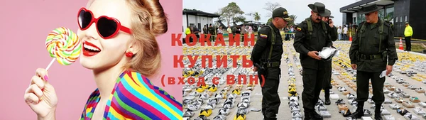 стаф Кодинск