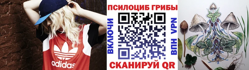 Купить где  Кола  Галлюциногенные грибы мухоморы 